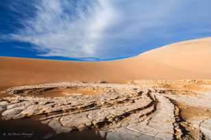 Mesquite Dunes-6206.jpg